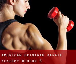 American Okinawan Karate Academy (Benson) #6