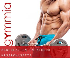 Musculación en Accord (Massachusetts)