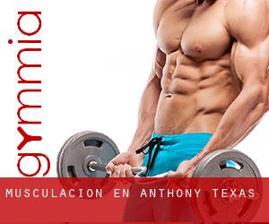 Musculación en Anthony (Texas)