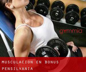Musculación en Bonus (Pensilvania)