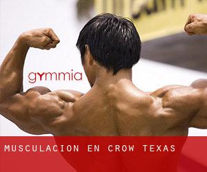 Musculación en Crow (Texas)