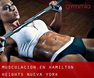 Musculación en Hamilton Heights (Nueva York)