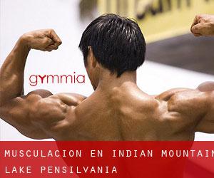 Musculación en Indian Mountain Lake (Pensilvania)