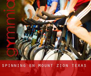 Spinning en Mount Zion (Texas)