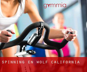 Spinning en Wolf (California)