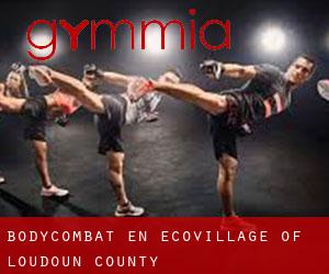 BodyCombat en EcoVillage of Loudoun County