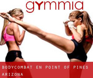 BodyCombat en Point of Pines (Arizona)