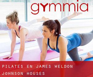 Pilates en James Weldon Johnson Houses