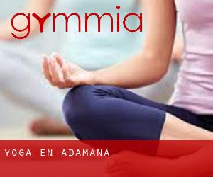 Yoga en Adamana