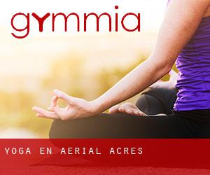 Yoga en Aerial Acres