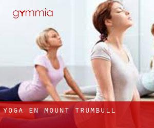Yoga en Mount Trumbull