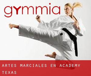 Artes marciales en Academy (Texas)