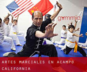 Artes marciales en Acampo (California)