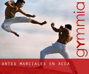 Artes marciales en Acca