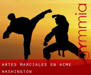 Artes marciales en Acme (Washington)