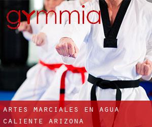 Artes marciales en Agua Caliente (Arizona)