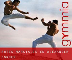 Artes marciales en Alexander Corner