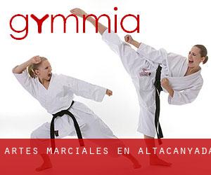 Artes marciales en Altacanyada
