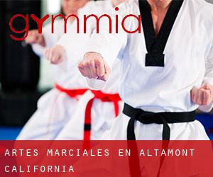 Artes marciales en Altamont (California)