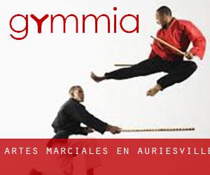 Artes marciales en Auriesville