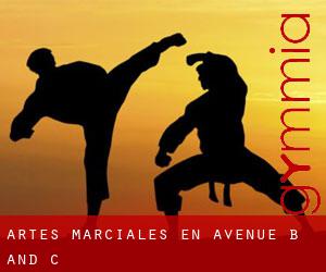 Artes marciales en Avenue B and C