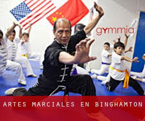 Artes marciales en Binghamton