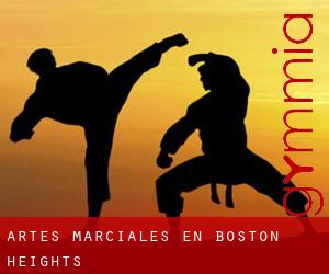 Artes marciales en Boston Heights