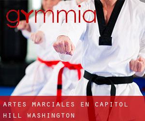 Artes marciales en Capitol Hill (Washington)
