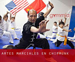 Artes marciales en Chipmunk