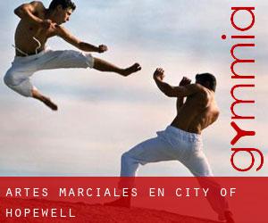 Artes marciales en City of Hopewell