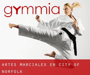 Artes marciales en City of Norfolk