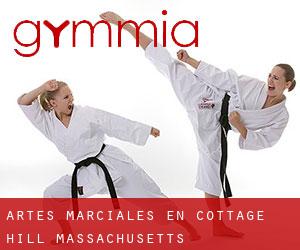 Artes marciales en Cottage Hill (Massachusetts)