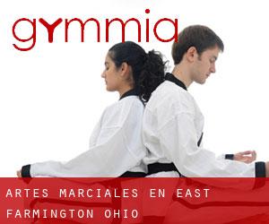 Artes marciales en East Farmington (Ohio)