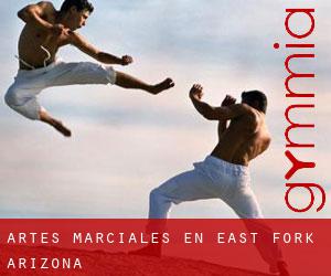 Artes marciales en East Fork (Arizona)