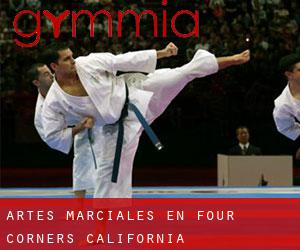 Artes marciales en Four Corners (California)