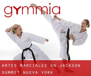 Artes marciales en Jackson Summit (Nueva York)