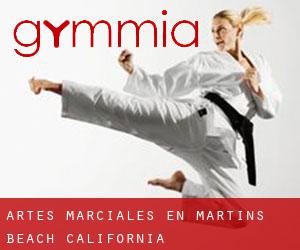 Artes marciales en Martins Beach (California)