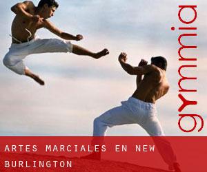 Artes marciales en New Burlington