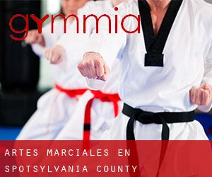 Artes marciales en Spotsylvania County