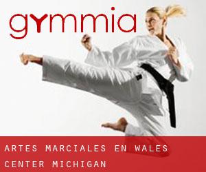 Artes marciales en Wales Center (Michigan)