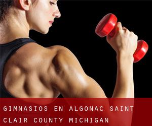 gimnasios en Algonac (Saint Clair County, Michigan)