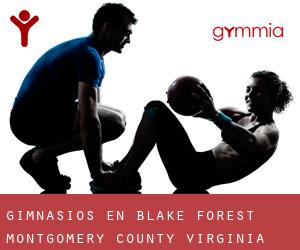 gimnasios en Blake Forest (Montgomery County, Virginia)