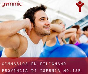 gimnasios en Filignano (Provincia di Isernia, Molise)