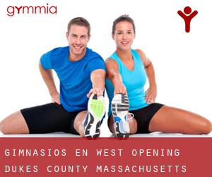 gimnasios en West Opening (Dukes County, Massachusetts)