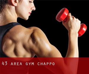 43 Area Gym (Chappo)