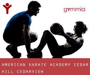 American Karate Academy Cedar Hill (Cedarview)