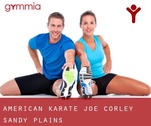 American Karate Joe Corley (Sandy Plains)