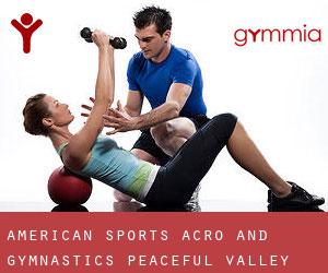 American Sports Acro and Gymnastics (Peaceful Valley)