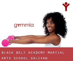 Black Belt Academy Martial Arts School (Galivan)