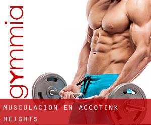 Musculación en Accotink Heights